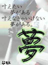 imagesCAAR2AKT.jpg